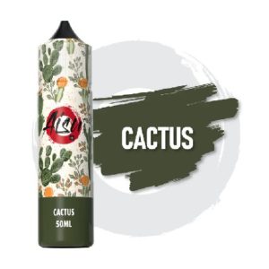 Aisu Cactus