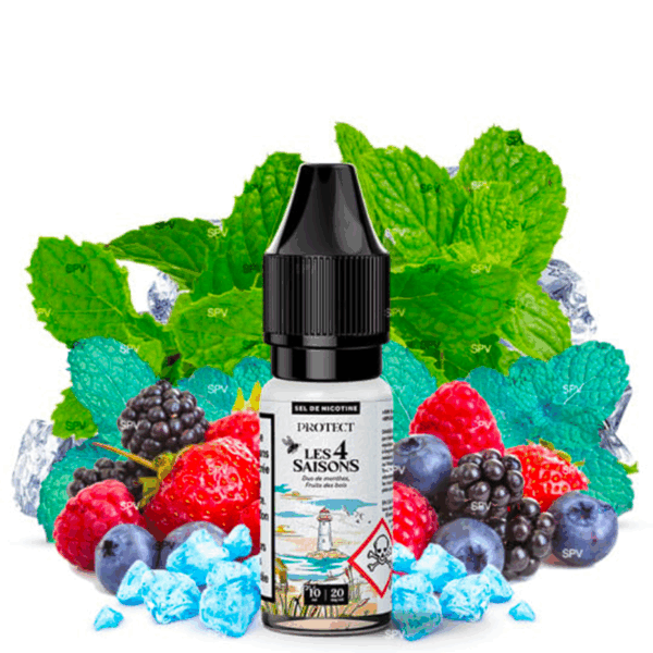 Duo de Menthes Fruits des Bois (Sels de nicotine) by Protect
